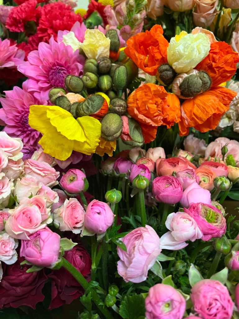 Fresh Flowers – Poppies Flowers