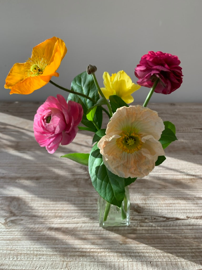Bud vase collection