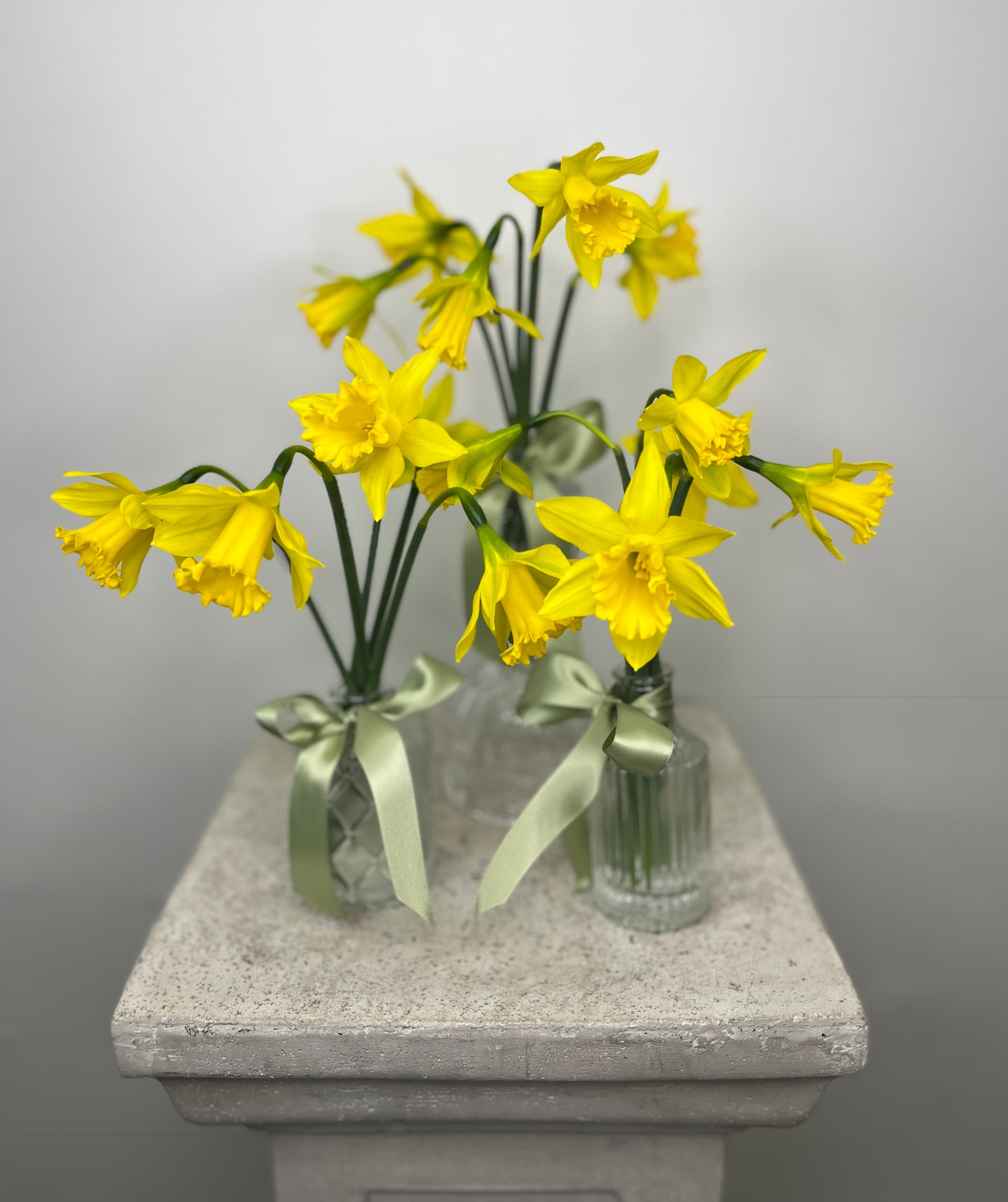 Daffodil Trio