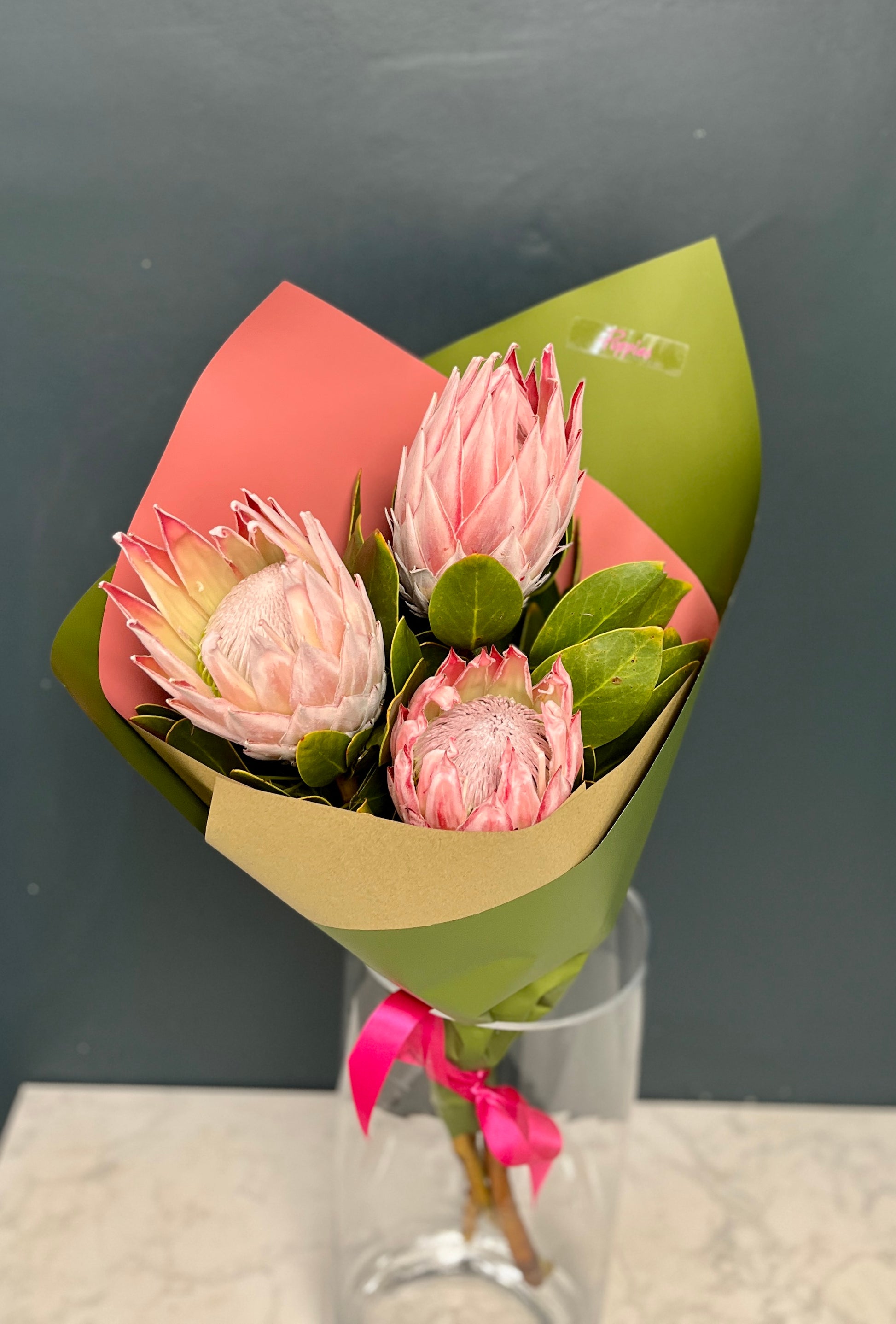 King Protea Special