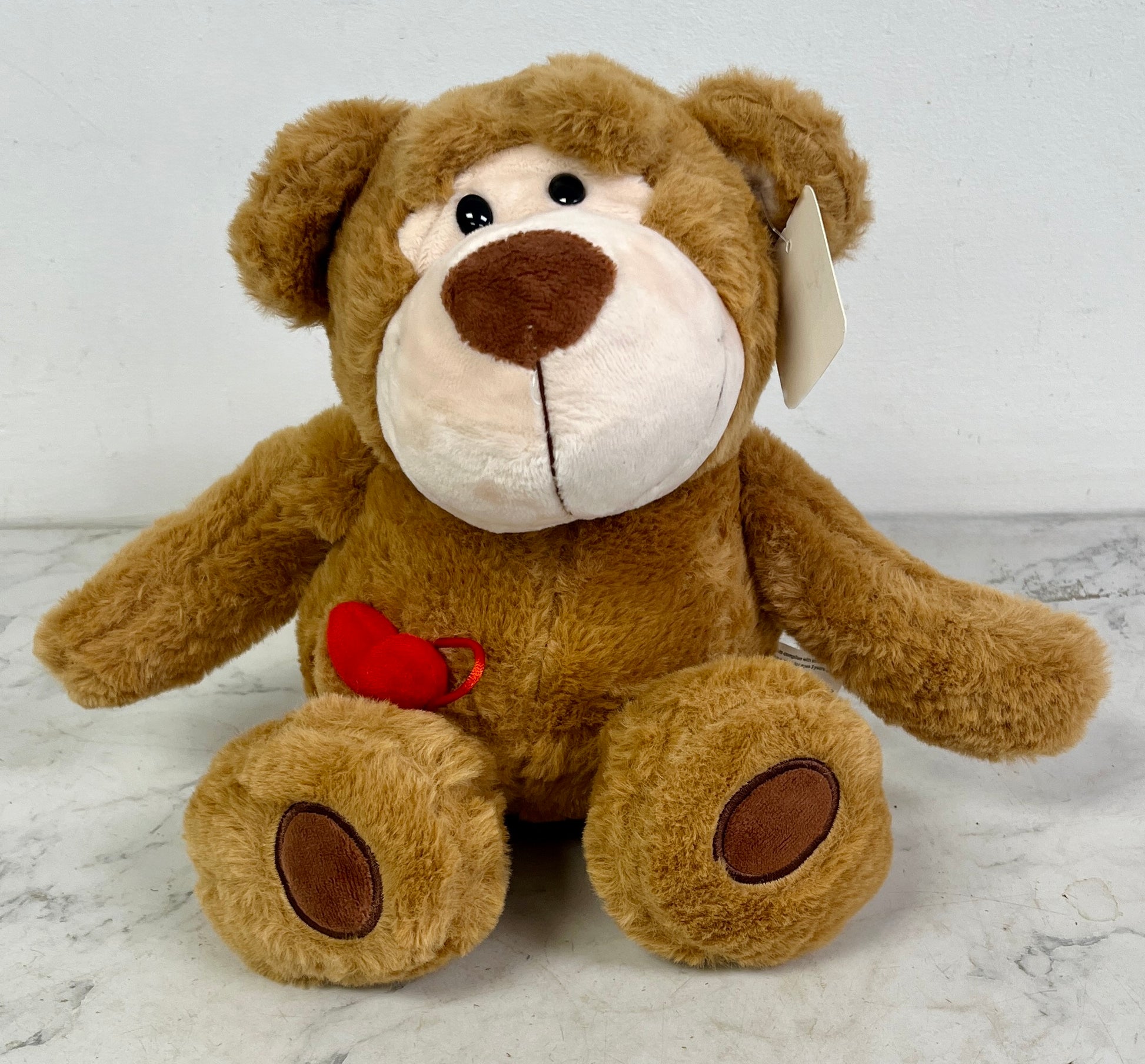 Your Heart in my hands Valentine's Bear