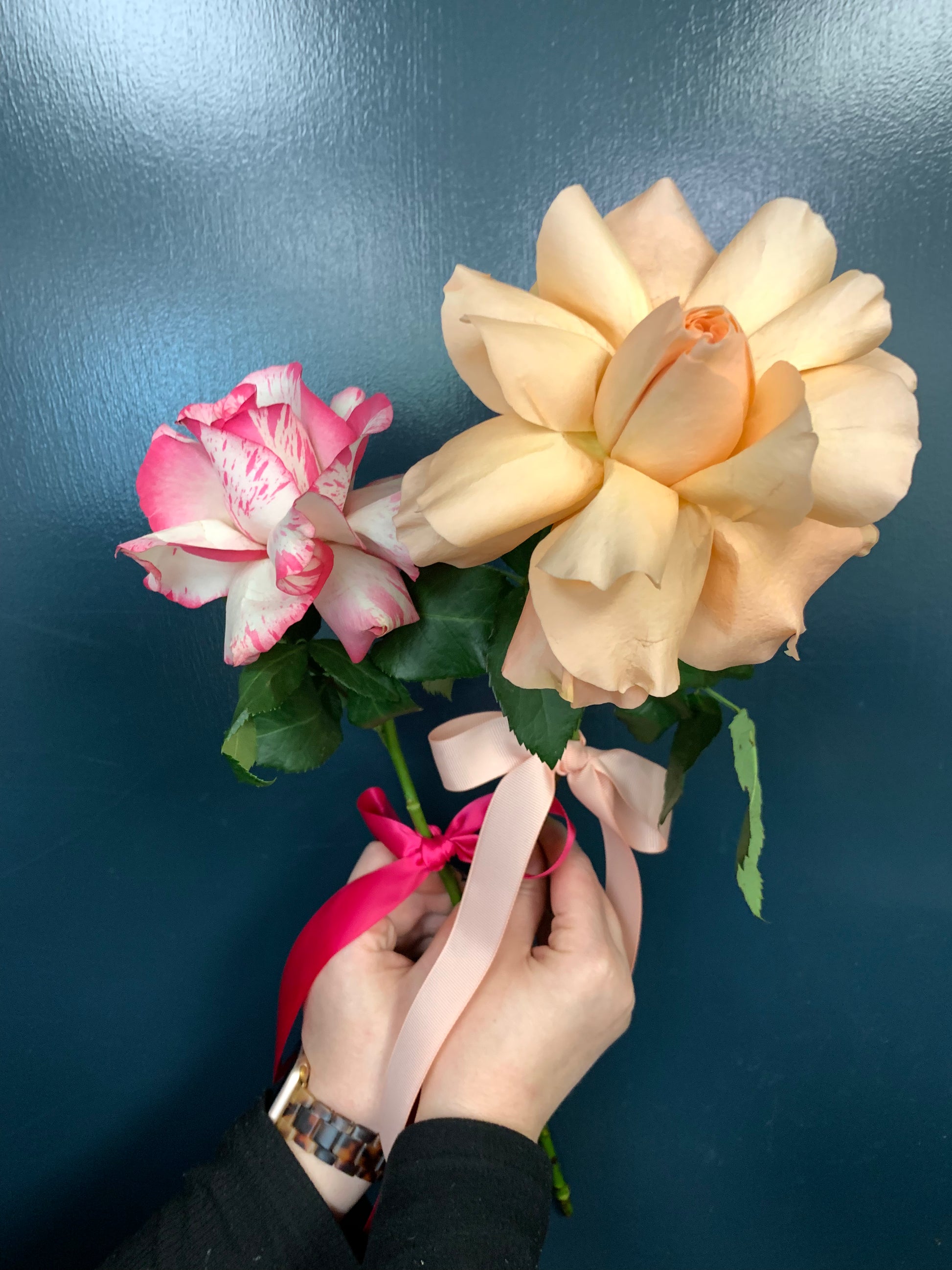 Scotch Graduation: Single Rose