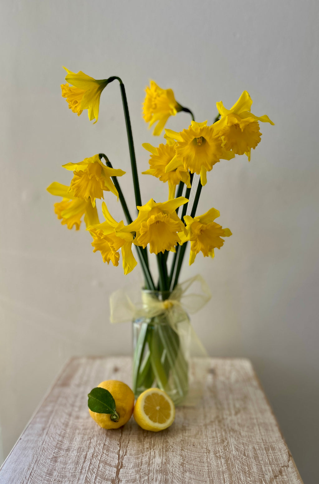 Daffodil Vase