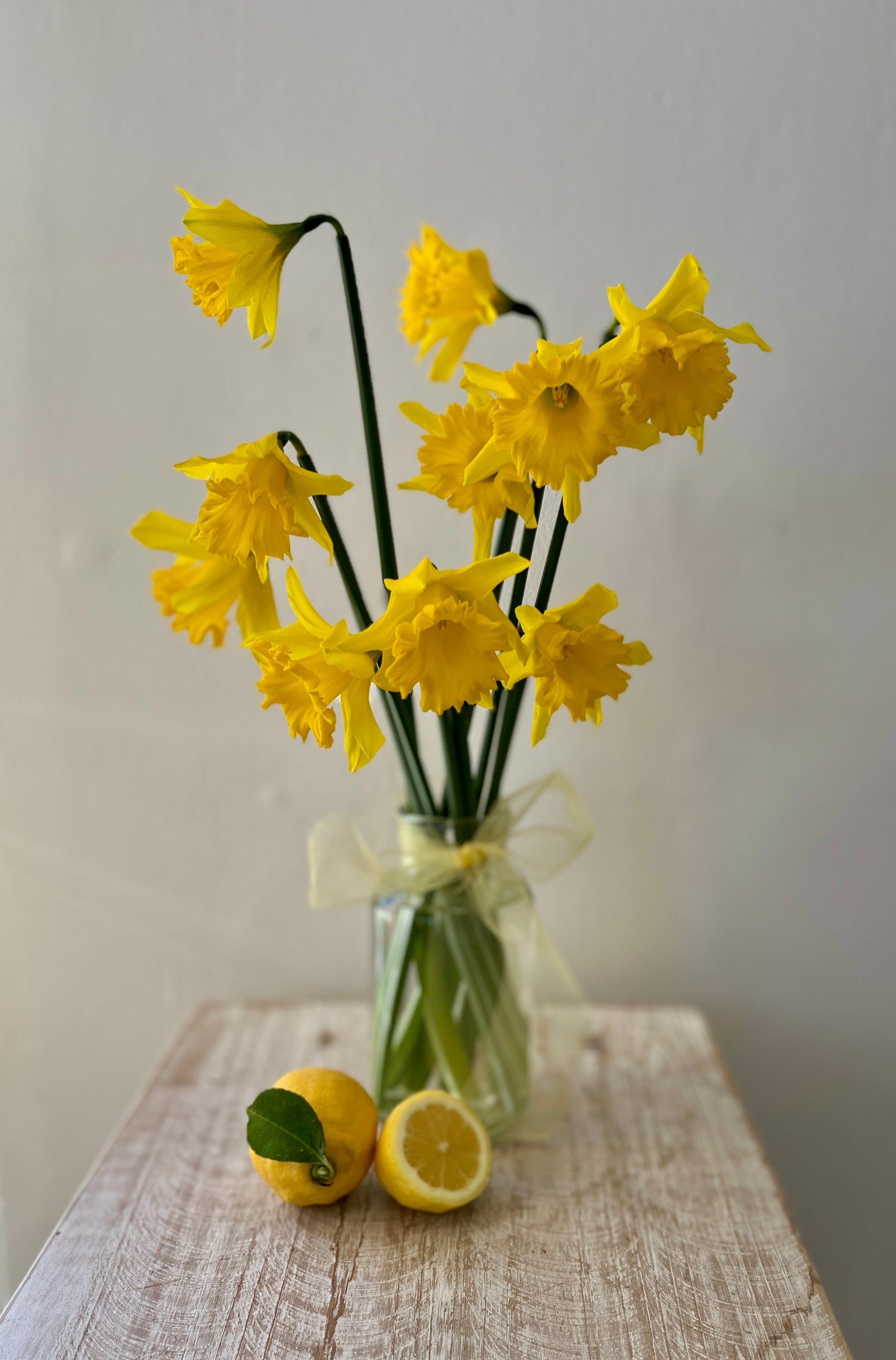 Daffodil Vase