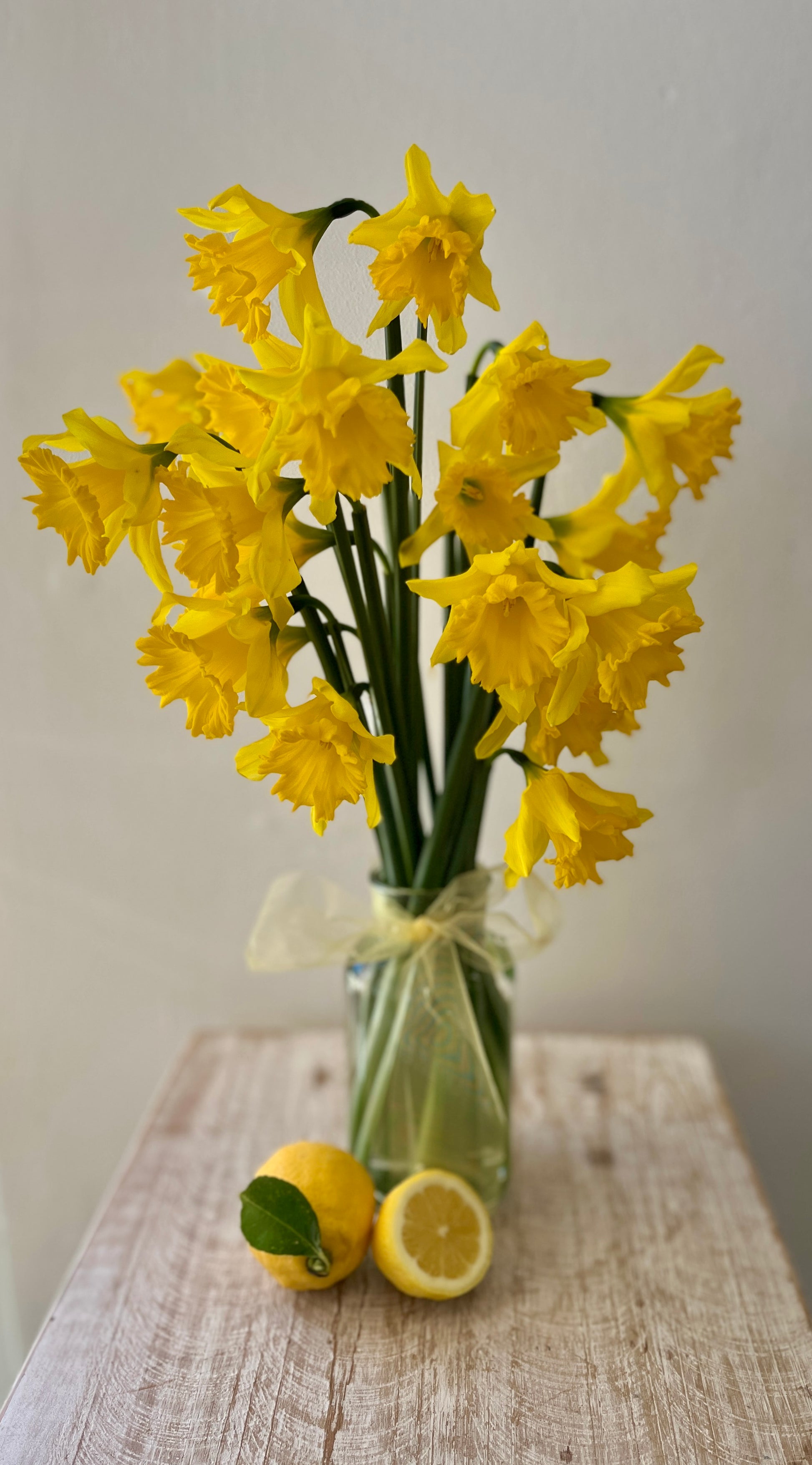 Daffodil Vase
