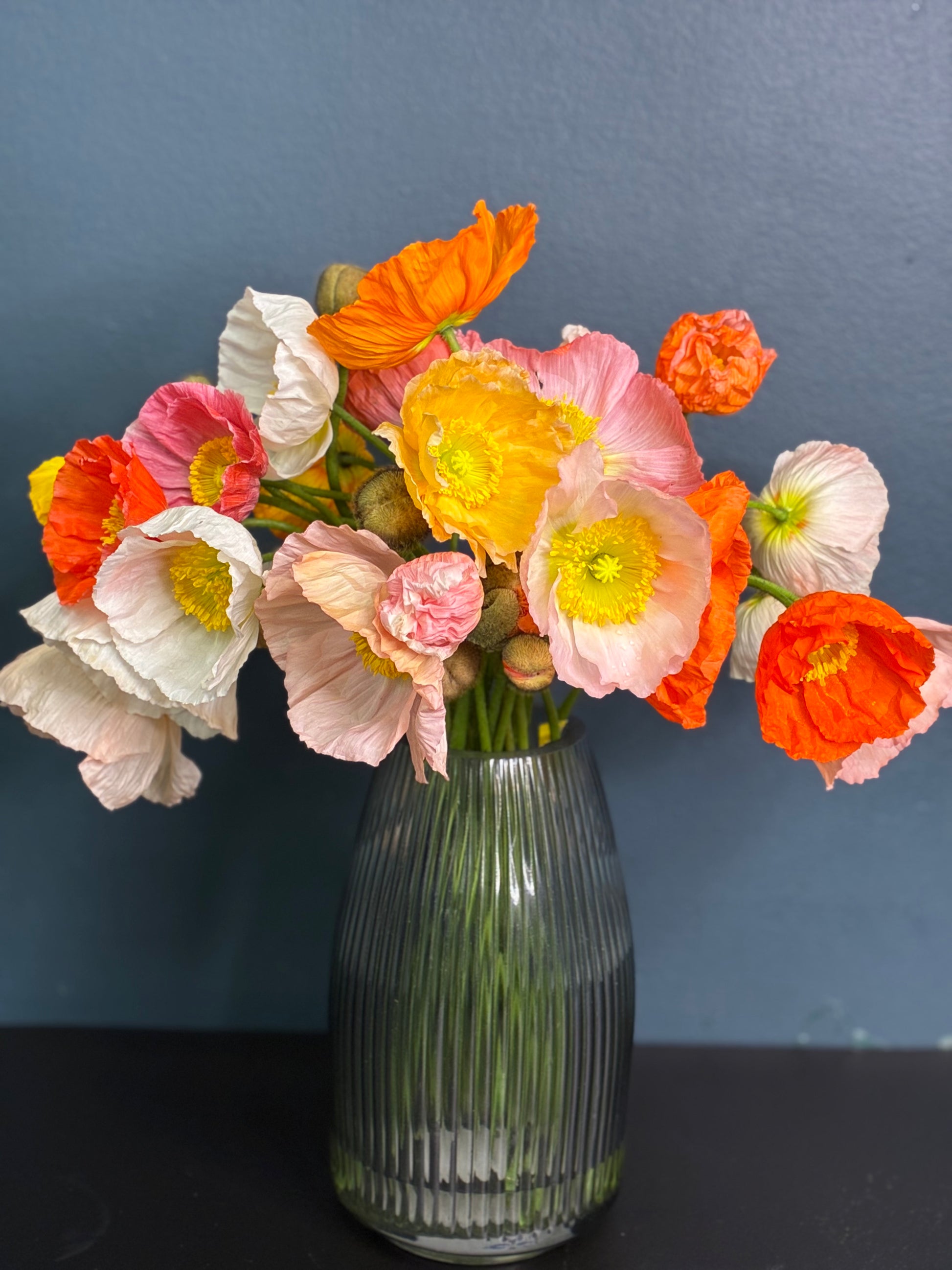 It’s Poppy Season!